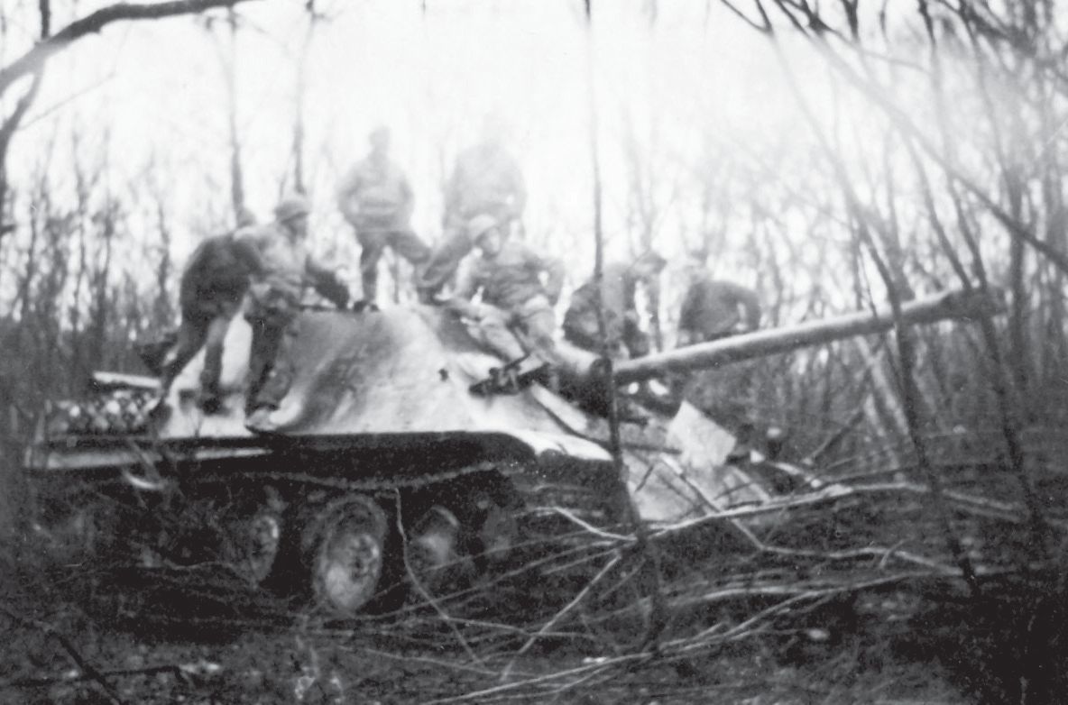 shwere panzer-jager abteilung 654 (5)