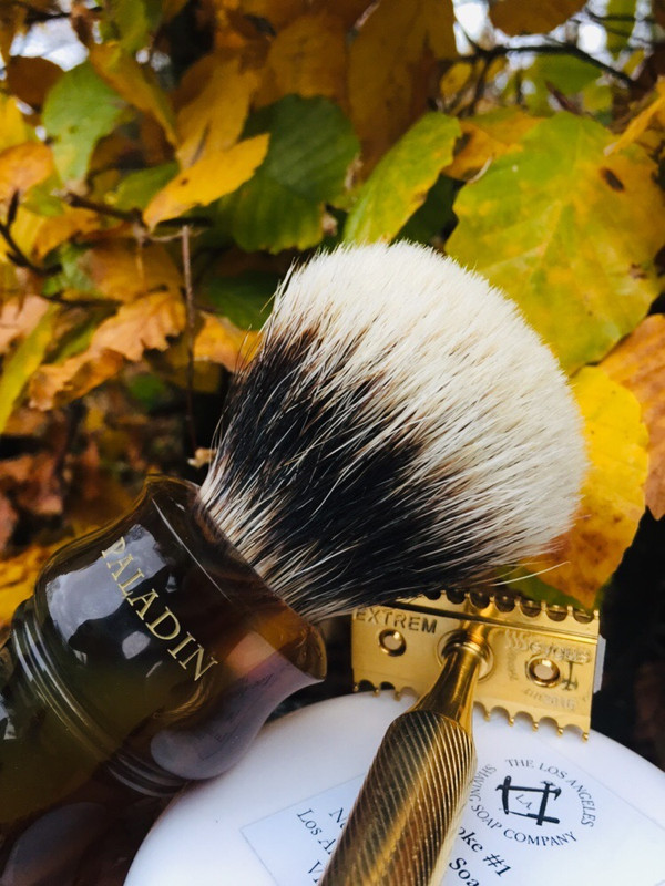 SOTD_20181110.jpg