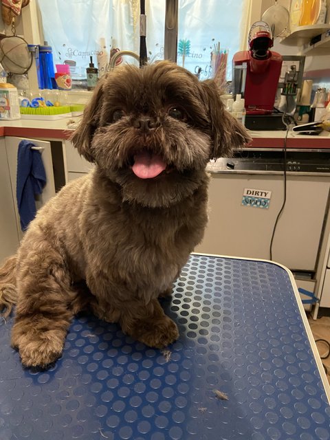 0F42ED05-CB09-4F92-99D8-FAD9FDA7A7B7