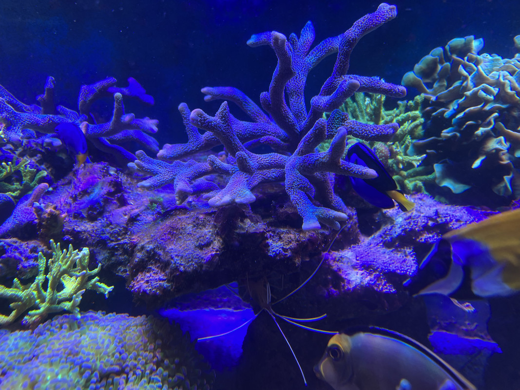 99BAE832-9B7B-4CF1-A599-D25B84765BEF