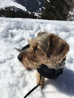 [Image: C333-BE48-DCA3-4310-8675-174-F586-ACCEE.jpg]