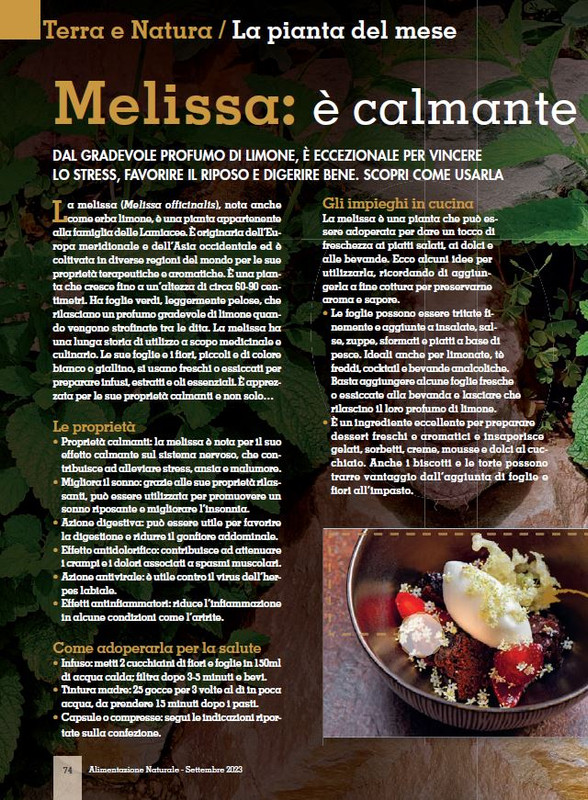 Alim Nat Set 2023 (11)