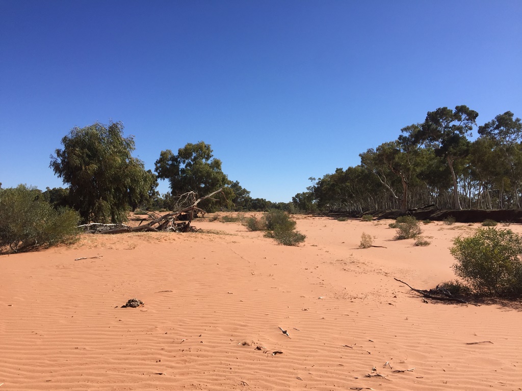 2019-Madigan-Line-Simpson-Desert-TRIP-1372.jpg