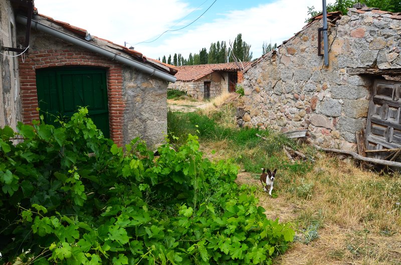 VILLAVERDE-31-7-2017-AVILA - Pueblos y lugares abandonados/deshabitados-2011 AL 2024 (10)