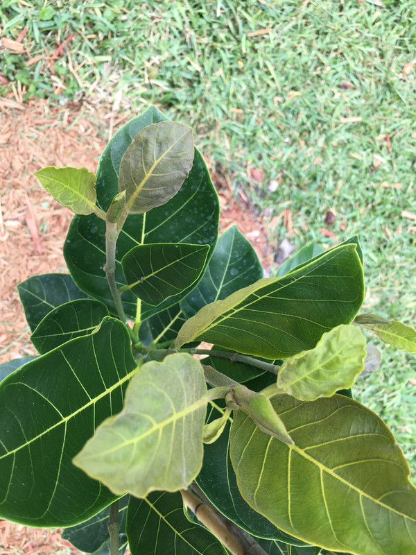 AEC3B614-07B2-4A43-BD61-502AD36DFB05