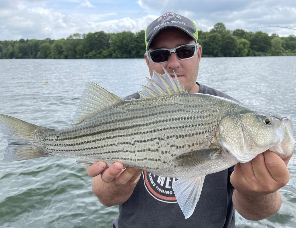 6B4E5A97-314B-4413-BCE0-D9E36AC7A1CD