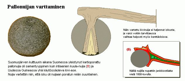 pallonuijan-varttaminen