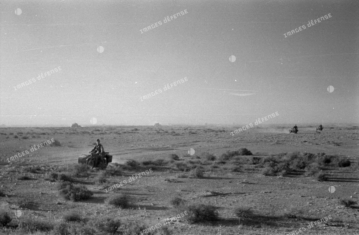 Side-cars qui roulent dans le désert 1941 (6)