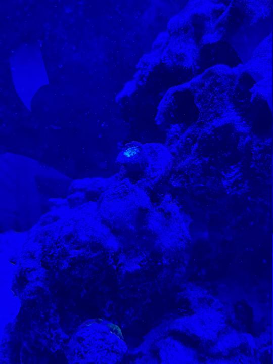 image6