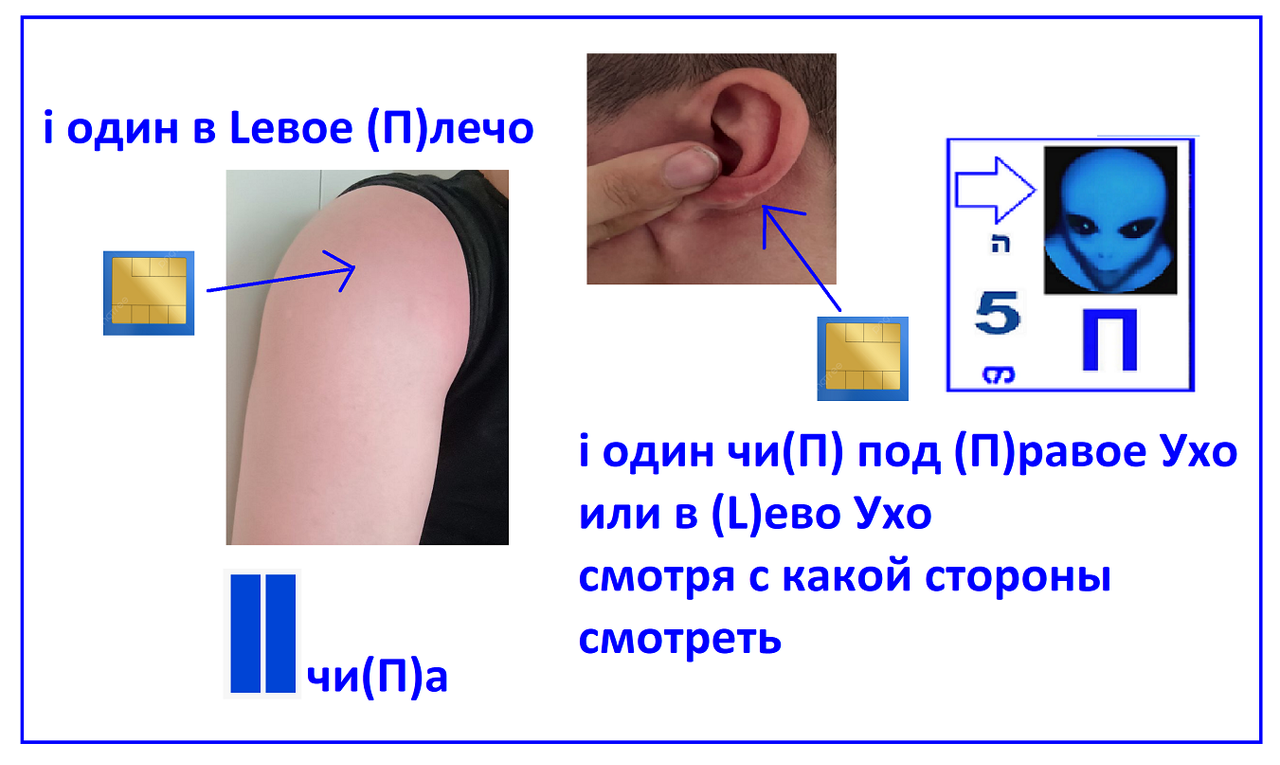 https://i.postimg.cc/TPGDVb8L/1302.png