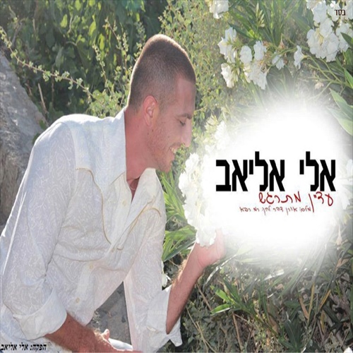 תמונה