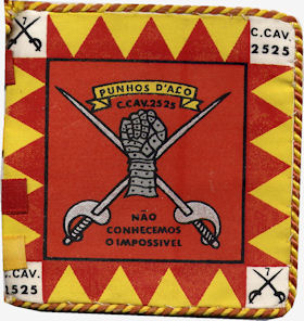 CCav2525