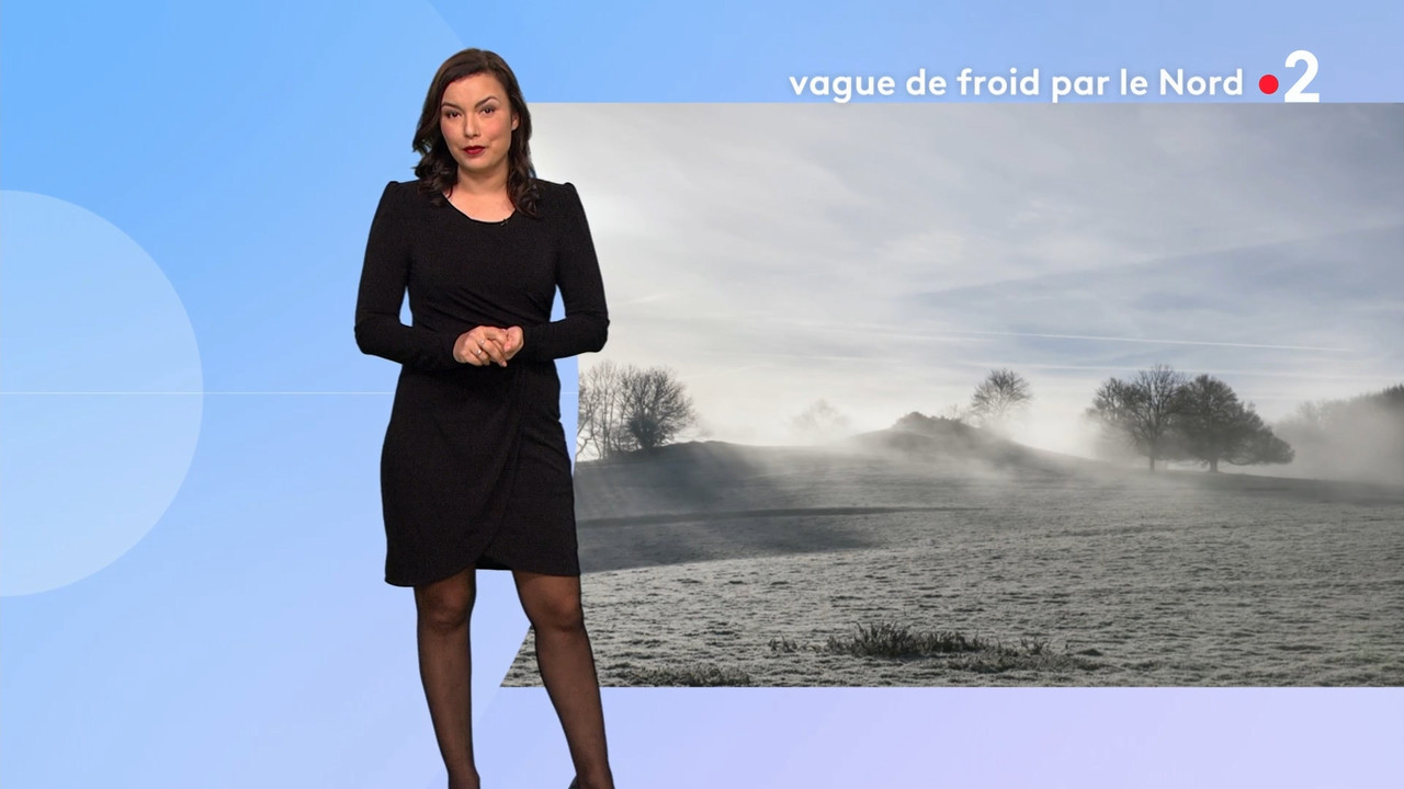 2021-02-08_12_50_Fr2_Meteo.mp4_snapshot_09.44.736