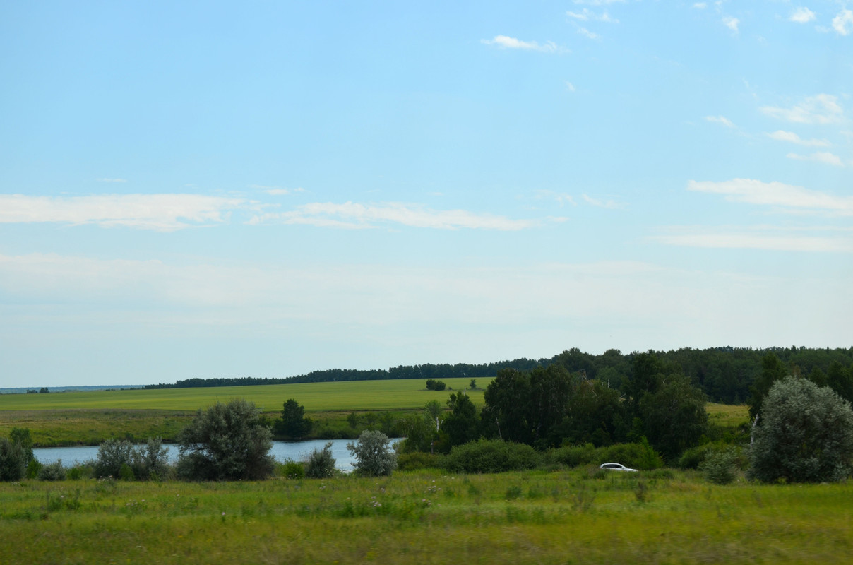 DSC-0600.jpg