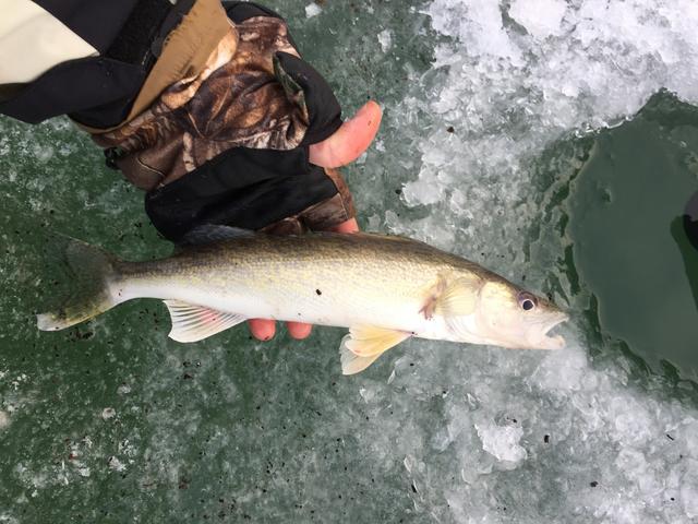 D49BE3EC-2709-4197-A147-445CFE01DDB2