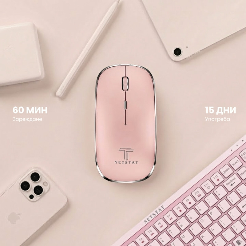 NETSTAT розова мишка детайли