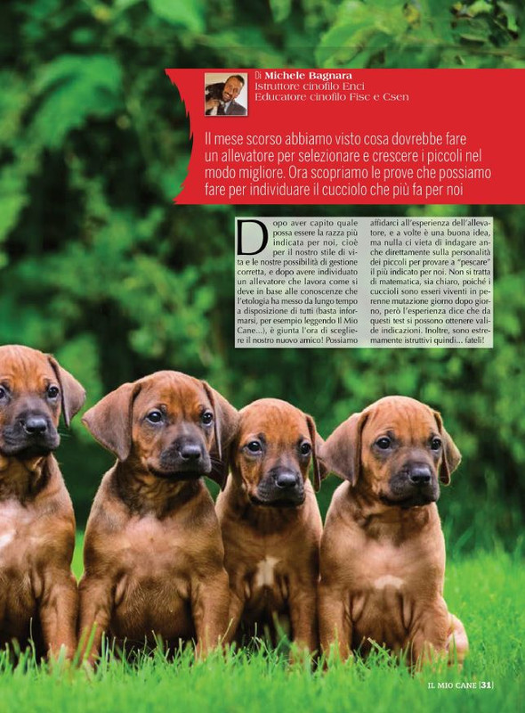 Il M C Lug-Ago 2022 (6)