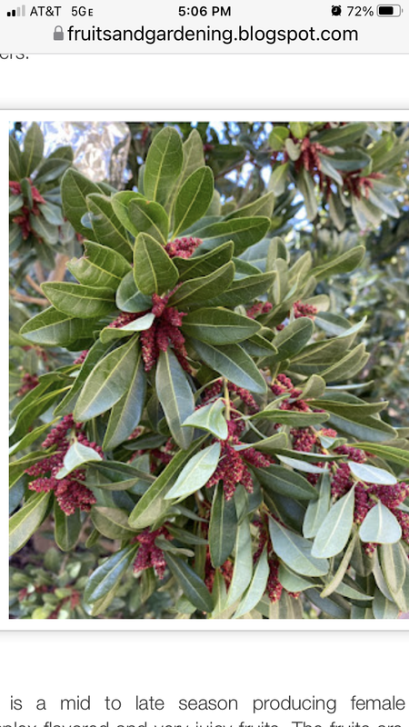 491DE800-903D-4EBB-9865-7845D2270274