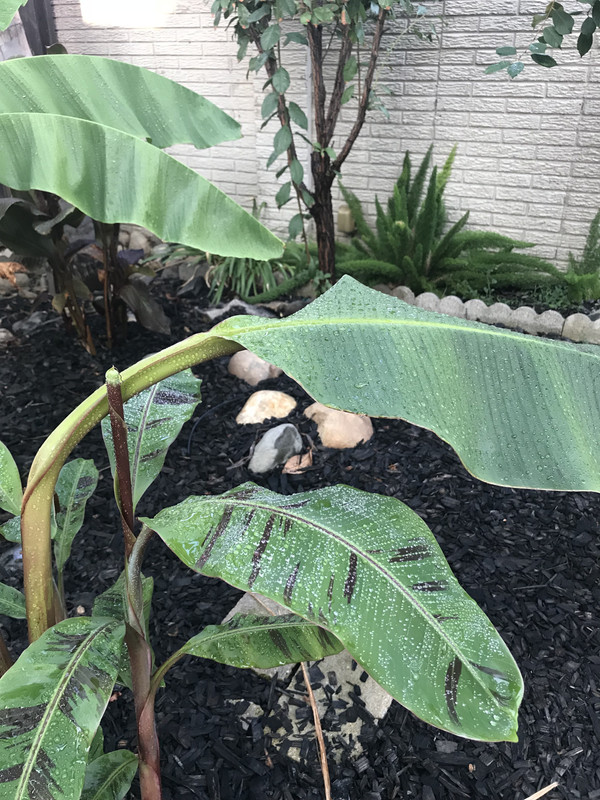 8F2ACBAB-8162-4841-A52E-DBF675D433A1