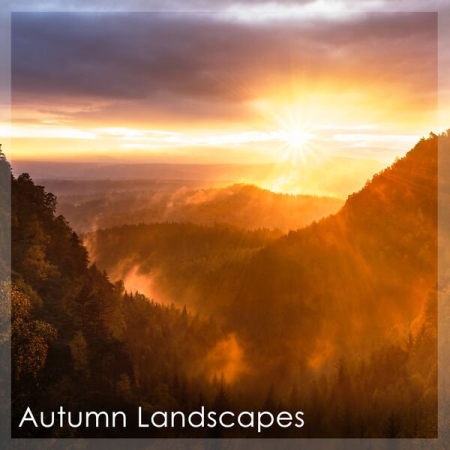 dc8cdc2c d7ad 4234 8ebc db96896a5421 - VA - Joaquin Rodrigo: Autumn Landscapes (2022)