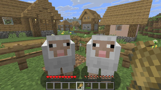 The player feeds the sheep three times
