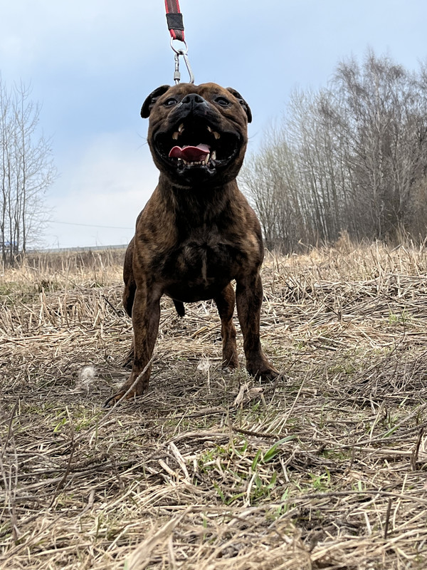 image-09-04-23-05-26-19 (1)