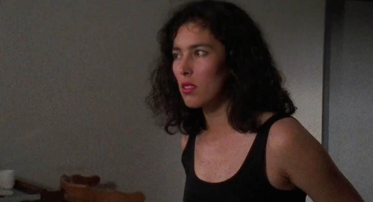 El Mariachi 1993 BluRay [Hindi + Tamil + Spanish] 480p, 720p ESub Screenshot