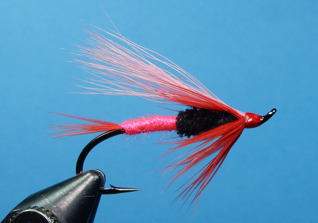 Pink-Mambo-1080.jpg