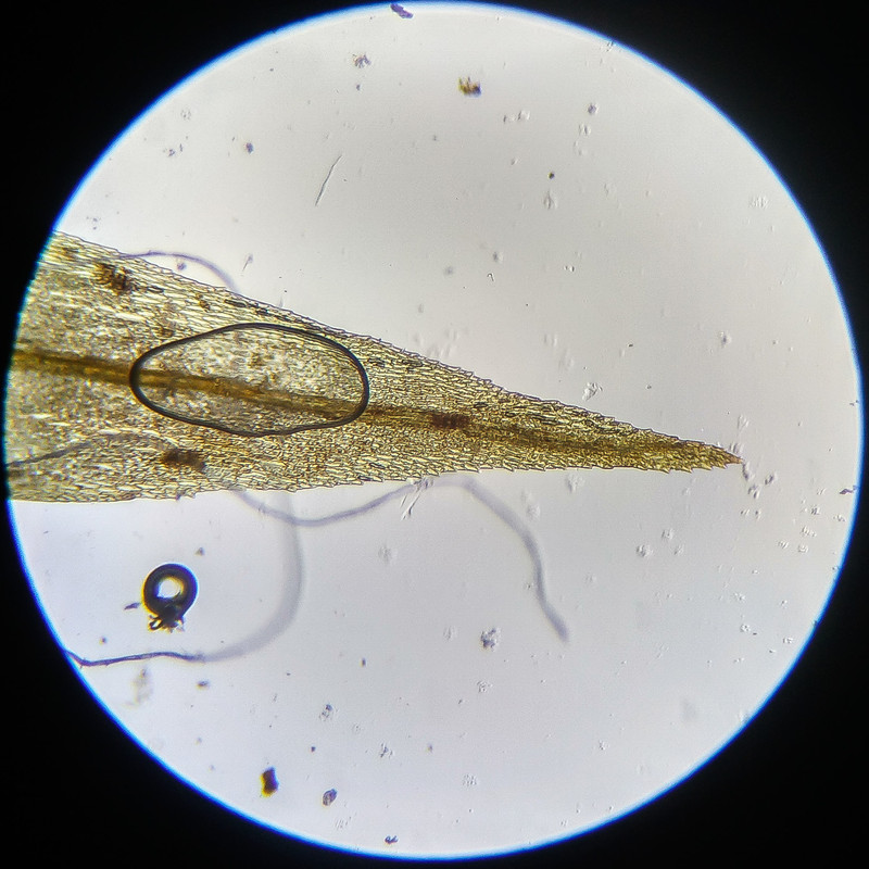 IMG 20250614 112312 HDR