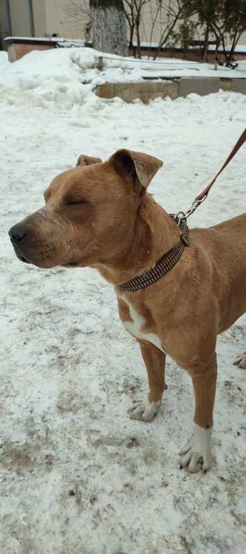 WhatsApp Image 2023-12-29 at 16.28.20 (1)