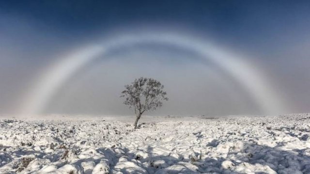 Amazing-1