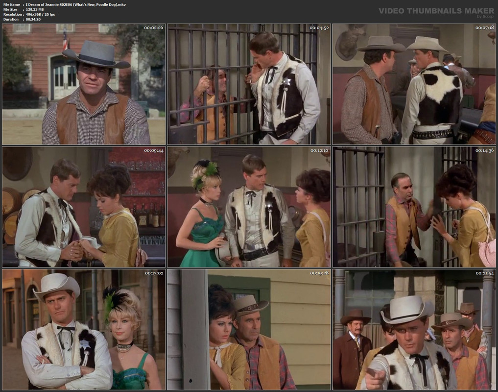 I Dream of Jeannie S02E06 (What's New, Poodle Dog).mkv