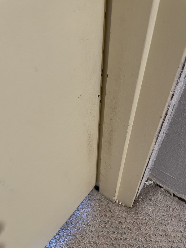 How to fix a door that won’t latch r/DIY