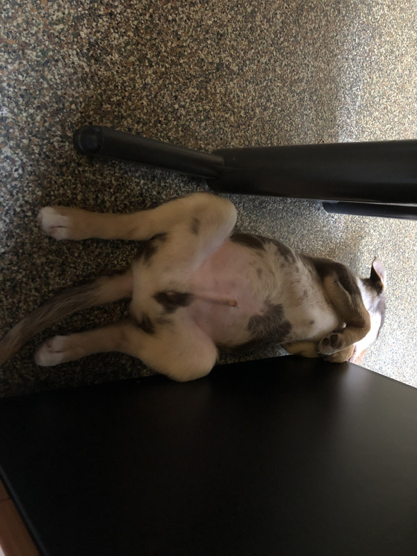 CD6E9E99-9F56-48AE-87F4-0E686F29ED3B