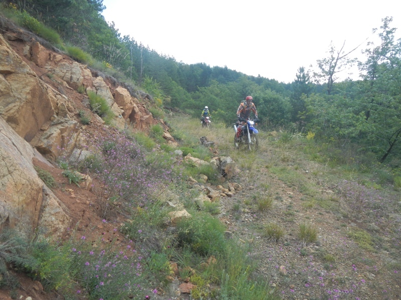 Zlatibor juli 2013 (61)