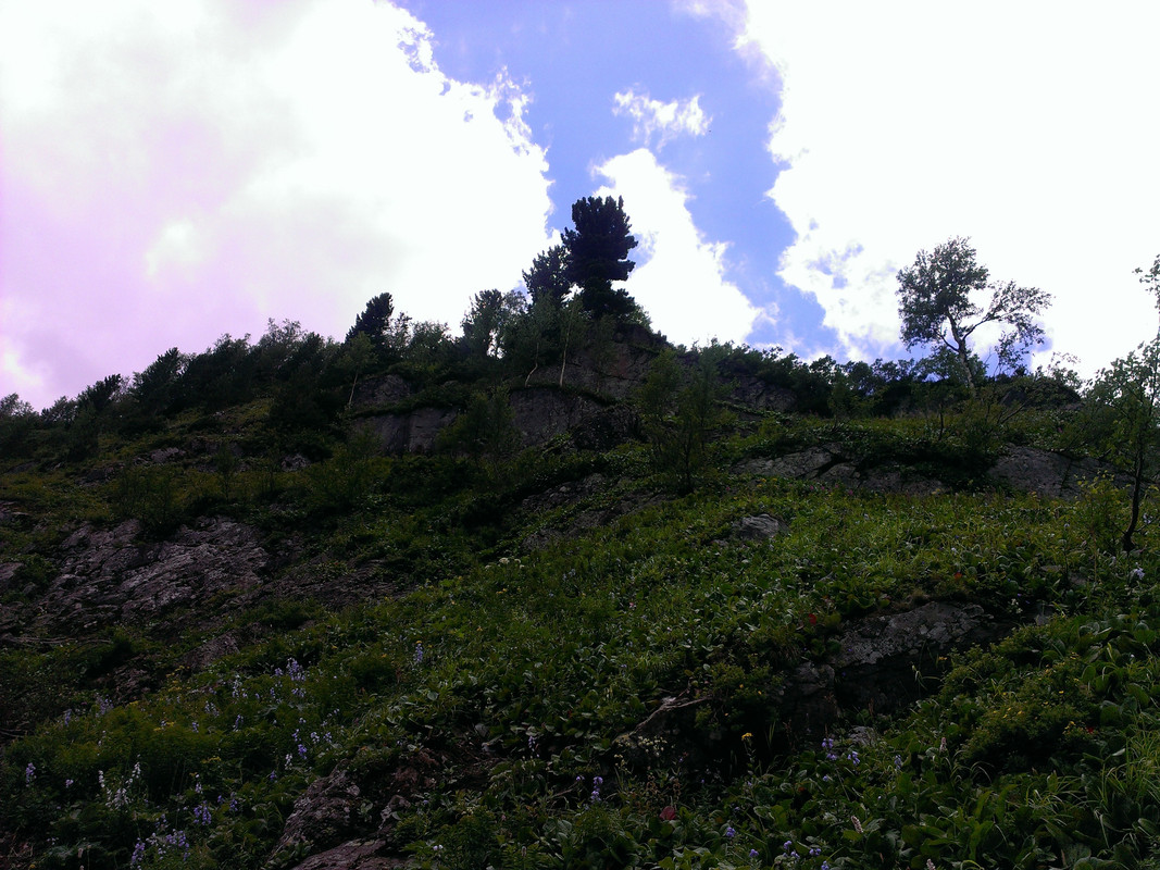 IMAG0525