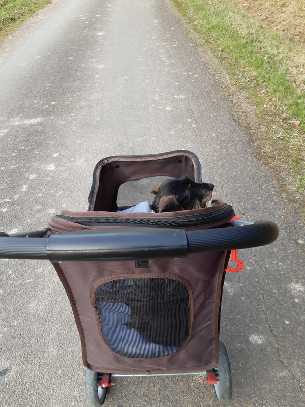 [Image: 20230221-155126.jpg]