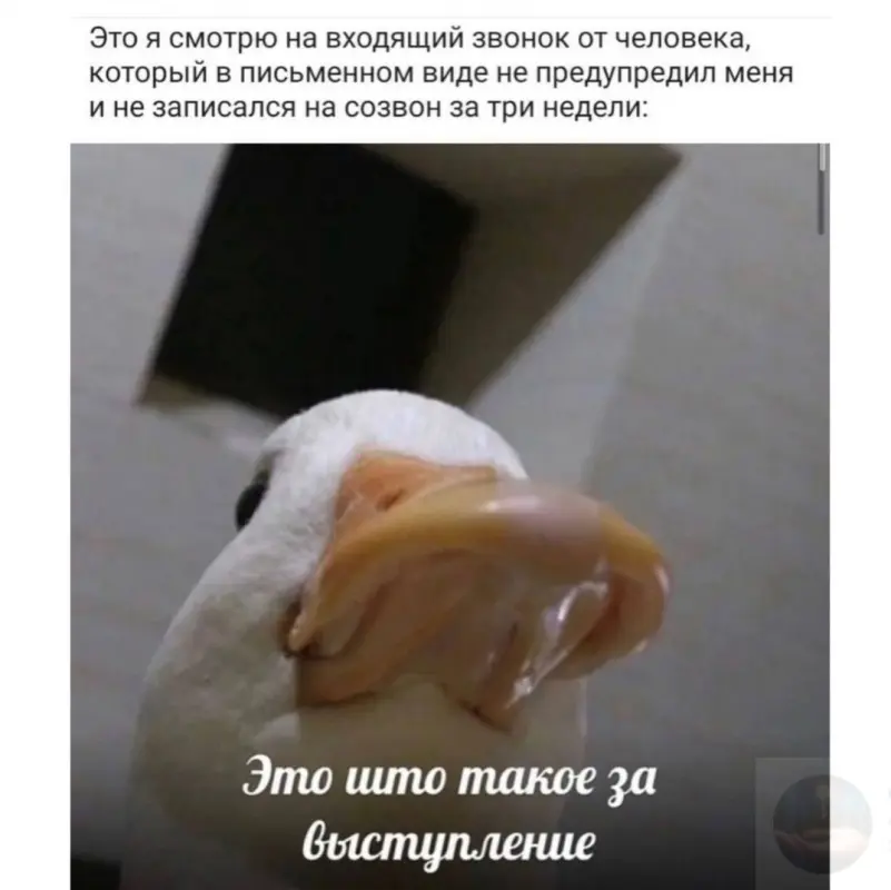 ptLseOhyOIVfgZLDMB3gXOaBP0tJaYnMs8s0rYU47OBDipukkGp7vTipNJ70Bwh1Zq7jMDAubEUdlmiOYVgdbIuB