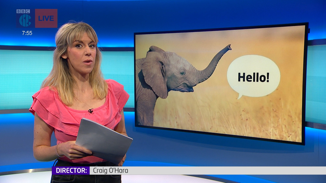 Newsround_20211108_07450755.ts_snapshot_11.48.277