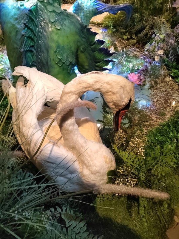 https://i.postimg.cc/TPKYBdf8/247-IMG-20250128-153808.jpg
