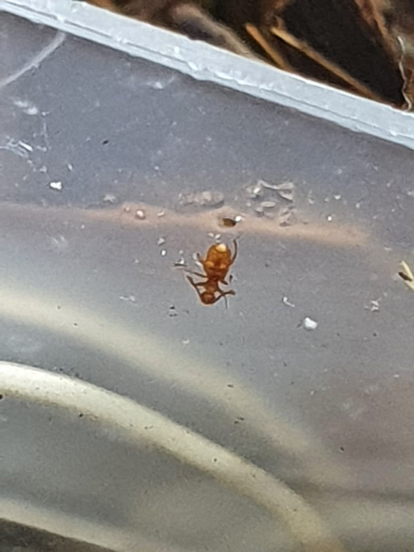 F0346C45-64BD-4AE4-BFC7-AB08D8AA191F