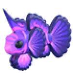 Singularity Pisces