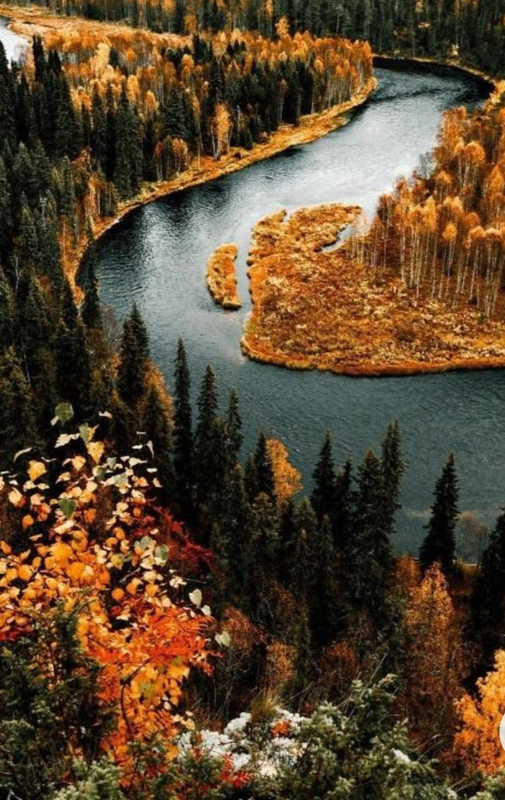 Screenshot_20230211_174112_Chrome