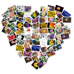 [Image: kiyps-W5ozt-WM7wl-Ev-Bx-Tfk-Ab-W8-L7-KJXn.png]