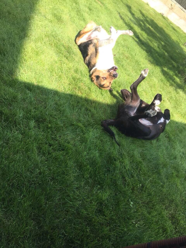 IMG-89f8a29620ad2288ddf537021acdcd04-V