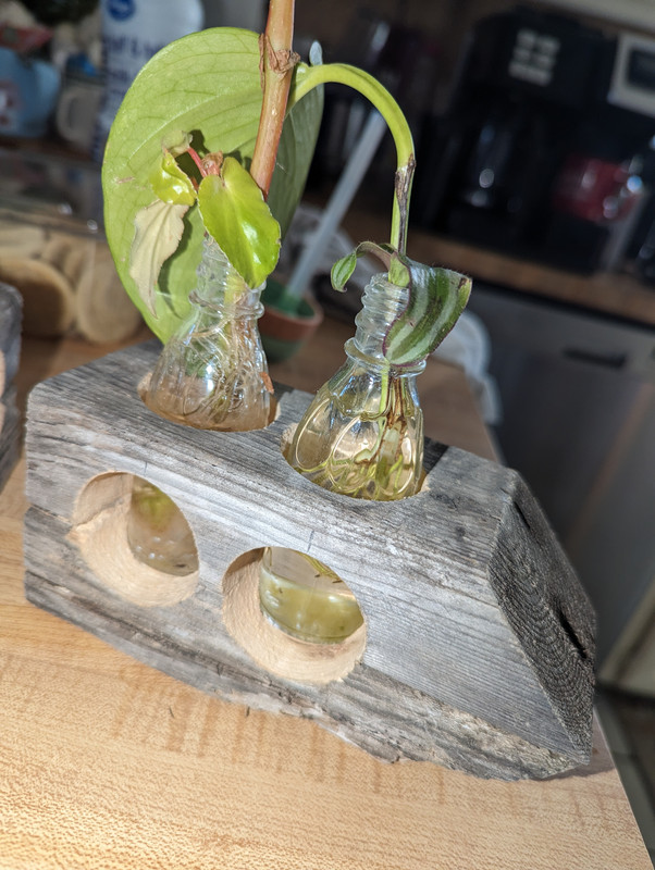 PXL_20250314_214012555[1]