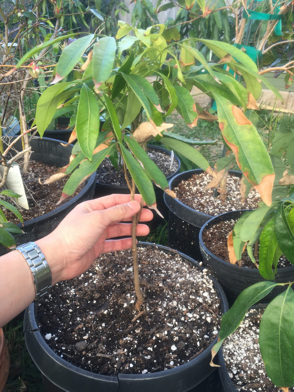 BC9B882B-F539-4BCA-A071-B8929D672B0C