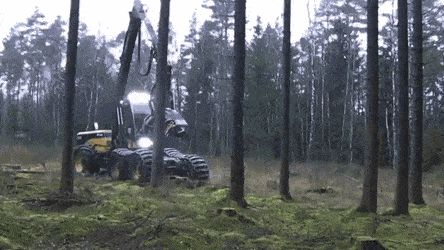 GIFs-17