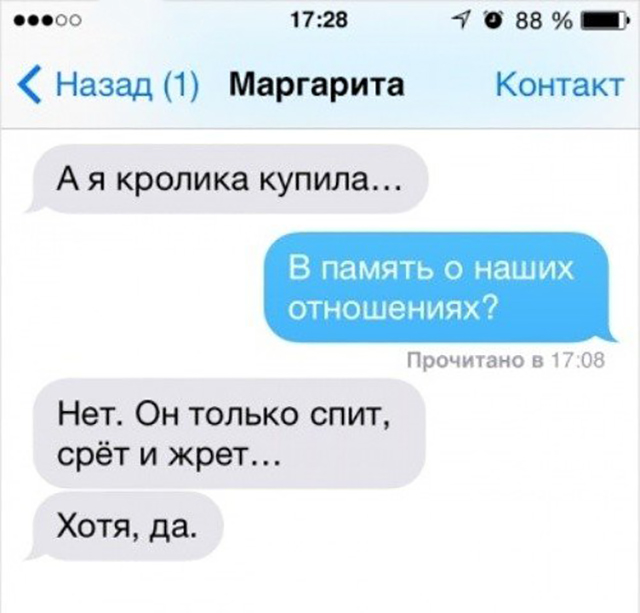 Люди, которые писали эти смс, наверное такие же забавные и в реальной жизни