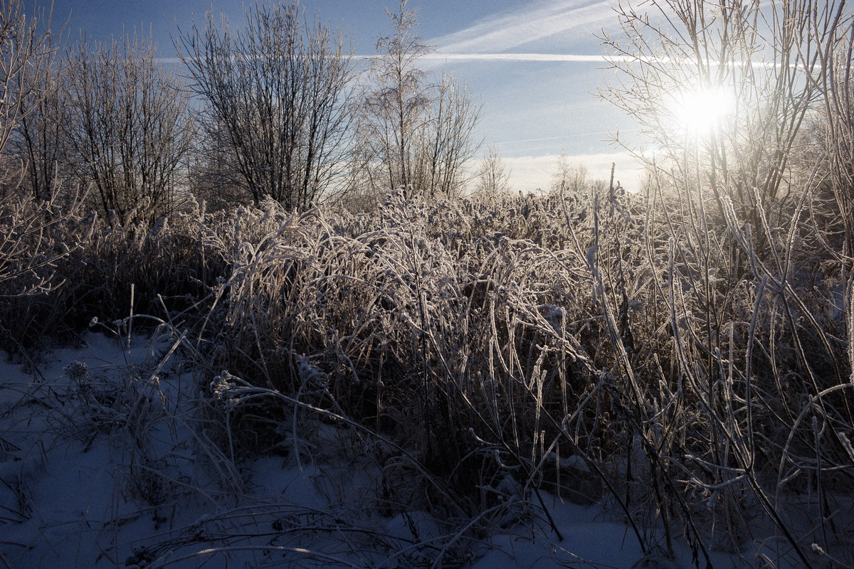 0212 2022 12 02 20 D IMG 0348 — Postimages